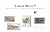 “Osgas na Madeira?!” - Eco-Escolas · Répteis introduzidos da Região • Presente em toda a Bacia do Mediterrâneo. • Populações introduzidas na América do Norte, Central