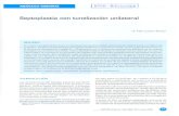 Septoplastia con tunelización unilateralrepebis.upch.edu.pe/articulos/reporl/v29n1/a3.pdf · septoplastia con tunelización unilateral, por ser menos traumática, de fácil acceso