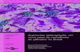 Euphorbia heterophylla: um novo caso de …ainfo.cnptia.embrapa.br/digital/bitstream/item/211648/1/...2 Euphorbia heterophylla: um novo caso de resistência ao glifosato no Brasil1