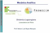 Mecânica Analíticatica_PARTE 2.pdf · 2020-05-07 · ICA – 2 Dinâmica Lagrangiana O formalismo desenvolvido por Newton se caracteriza por lidar com grandezas vetoriais (Mecânica