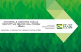 BIOECONOMIA E AGRICULTURA FAMILIAR: PERSPECTIVAS E ... · (Pau Brasil, Cana-de-açúcar, algodão, café, borracha, ... • VISÃO INTEGRAL DA CADEIA, com foco na comercialização