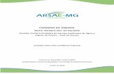 CADERNO DE ANEXOS - ARSAE-MGarsae.mg.gov.br/images/documentos/audiencia_public... · Assim, com base nos lançamentos contábeis e nas rubricas do plano de contas, o regulador classifica