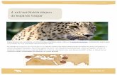 Secundário Biodiversidade 6 A extraordinária viagem do ... · aumentar o número de leopardos reintroduzidos no Cáucaso – a primeira reintrodução de Leopardos-da-pérsia, ocorreu