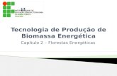 Tecnologia de Produção de Biomassa Energéticadocente.ifrn.edu.br/hannielfreitas/disciplinas/tecnologia-de-producao... · Floresta Energética Plantações florestais com grande