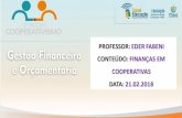 Finanças em cooperativas · 1.2 Funções de finanças Considerando que boa parte das decisões de negócios é mensurada em termos financeiros, o gestorfinanceiro tem um papel essencial