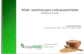 SOJA | caminhos para a alta produtividade...- uniformidade em que a semeadora aloja a semente no solo (condições de corte da palha e sulcador) - velocidade máxima –6 km/h (disco)