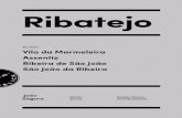 Route RIBATEJO • Project UNIART ARTE PÚBLICA · foundation’s corporate partner in this project—would be subject to intervention. And, in each location, the population was invited