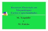 Recursos Florestais em Moçambique: Factos e oportunidades ... · Preferência pela exportação de toros . Medidas para pressionar e incentivar o processamento Obrigatoriedadedoprocessamento(espécies