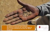 Corredores do Arroz da África Ocidental · Corredores do Arroz da África Ocidental: Revelando o potencial do mercado regional para a auto-suficiéncia do arroz em África Ocidental.