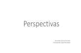 Perspectivas - Agenda Social de Sori ¢  Fernando Garc£­a Ferreiro Principiante experimentado. Idea principal: