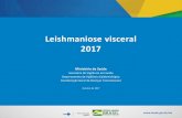 Leishmaniose visceral 2017 - saude.gov.brsaude.gov.br/images/pdf/2019/janeiro/28/leishvisceral-17-novo-layou… · • 7,8 % de coinfectados Leishmania/HIV Fonte: SVS/MS. Casos de