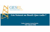 Gás Natural no Brasil: Quo vadis?gesel.ie.ufrj.br/app/webroot/files/publications/07... · Clientes Residencial e Comercial Instalação de Armazenamento Subterrâneo Cliente Industrial