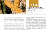2016 - Pesquisa e Difusão de Tecnologias Agropecuárias · 40 Tecnologia e Produção: Milho Safrinha Quadro 2. Produtividade de híbridos de milho Bt precoce (sc ha-1), em Amambai/MS.