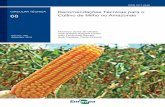 Setembro, 2018 - Infoteca-e: Página inicial · do para uso de milho em grãos e milho-verde para consumo in natura, de ciclo semiprecoce e porte baixo, apresenta elevada produtividade