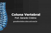 Coluna Vertebral - Gerardo Cristinogerardocristino.com.br/.../colunavertebral.pdf · Coluna Vertebral Estrutura Geral Composição Vértebras Cervicais, torácicas, lombares, sacrais,
