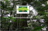 Plano Operativo 2016-2020 - Serviço Florestal Brasileirosnif.florestal.gov.br/images/pdf/publicacoes/Anexo_II_-_PLANO... · Promover o ordenamento territorial, fortalecendo as áreas
