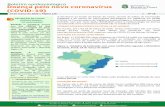 Boletim epidemiológico Doença pelo novo coronavírus (COVID-19) · 2020-03-20 · boletim pelo MS. SITUAÇÃO NO CEARÁ* No Ceará, até o dia 19 de março de 2020, foram notificados