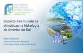 Impacto das mudanças climáticas na hidrologia da …...Impacto das mudanças climáticas na hidrologia da América do Sul Walter Collischonn Instituto de Pesquisas Hidráulicas Universidade