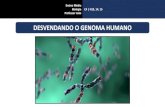 DESVENDANDO O GENOMA HUMANO - Energia Barreiros · Desvendando o genoma humano C4 | H13, 14, 15 • Genoma: conjunto de cromossomos haploides de um organismo, contendo todas as suas