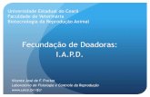 Fecundação de Doadoras: I.A.P.D. 6.pdf · Universidade Estadual do Ceará Faculdade de Veterinária Biotecnologia da Reprodução Animal Fecundação de Doadoras: I.A.P.D. Vicente