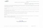 Prefeitura de Nova Lima · 2020-06-25 · Dispõe sobre a aprovação do Demonstrativo Anua/ Físico Financeiro da Execução da ReceiÍa e da Despesa — Sedese — 2016. O Plenário