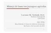 Professor Associado III USP/CENA SMA / EPBio Mesa Redonda ...arquivos.ambiente.sp.gov.br/cbrn/2017/01/epbio... · Mesa Redonda 4: Fauna em Ambiente Antropizado São Paulo, 26 de novembro