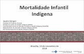 Mortalidade Infantil Indígena - Ministério da Saúdeportalarquivos2.saude.gov.br/images/pdf/2018/... · dos recursos disponíveis para atenção à saúde materna e da população