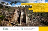 INSTRUMENTOS ECONÔMICOS PARA REDUÇÃO DO DESMATAMENTO … · ˚˝ Instrumentos Econômicos para Redução do Desmatamento na Amazônia Em relação às mudanças climáticas, o