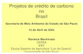 Projetos de crédito de carbono no Brasil...Projetos de crédito de carbono no Brasil Secretaria de Meio Ambiente do Estado de São Paulo 15 de Abril de 2004 Warwick Manfrinato CEPEA