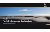FUNBIO Fundo Brasileiro para a Biodiversidadeconexaoagua.mpf.mp.br/atuacao-estrategica/eventos/... · USD 579,5 milhões* administrados apoio a 310 áreas protegidas (68 milhões