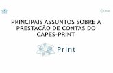 Apresentação de Prestação de Contas do Print-Workshop (005) · CONTEXTO DA PRESTAÇÃO DE CONTAS Relatório Anual de Execução Ano I Objetivo: Demonstrar o andamento dos projetos