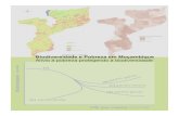 Biodiversidade e Pobreza em Moçambique Alívio à pobreza … · B Figura 1. Índice de incidência da pobreza: A - em 2003; B - evolução no período de 96-2003 A Figura 1 ilustra