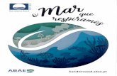 portosdeportugal.ptportosdeportugal.pt/UserFiles/BandeiraAzul2018.pdf · 2018-04-28 · Nota de Imprensa Anúncio das Praias, Marinas e Embarcações com Bandeira Azul 2018 Em 2018