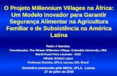 O Projeto Millennium Villages na África: Um Modelo ... · Prêmio Moinho Santista de 2000, Membro da Comissão Técnica Nacional de Biosegurança (CTNBio). Maio, 2003. Professor