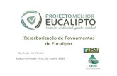 (Re)arborização de Povoamentos de · PDF file 2016-06-27 · Regime jurídico das arborizações e (re)arborizações (Re)arborização de Povoamentos de Eucalipto, Mortágua, 10,11