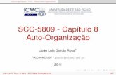 SCC-5809 - Capítulo 8 Auto-Organizaçãowiki.icmc.usp.br/images/a/a2/SCC5809Cap8.pdf · Alguns princípios básicos A organização da rede acontece em dois níveis diferentes que