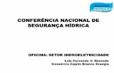 CONFERÊNCIA NACIONAL DE SEGURANÇA HÍDRICAcbharaguari.org.br/uploads/1_o_comite/eventos/2015/... · 2015-10-16 · CRISE HÍDRICA NO BRASIL - SETOR ELETRICO Capacidade de Geração