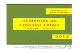 Acidentes de Trânsito Fatais · 2013-06-06 · Acidentes de trânsito fatais em São Paulo - 2012 Índice Página Apresentação 2 1. Acidentes de trânsito fatais e suas vítimas