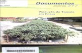 Documento - Embrapaainfo.cnptia.embrapa.br/.../1/Oriental-Doc217.pdf · Exemplares desta publicação podem ser adquiridos na: Embrapa Amazônia Oriental Trav. Or. Enéas Pinheiro,