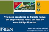 Avaliação econômica da floresta nativa em propriedades ...ibape-nacional.com.br/site/wp-content/themes/Nicol/documentos-xvii... · Como o novo código florestal promove a valorização