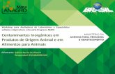 Workshop para Avaliadores de Laboratórios e Especialistas … · 2018-12-17 · Alimentos para Animais Palestrante: Gabriel Barros de Oliveira Responsável LEI/LANAGRO-MG. Sumário