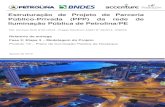 Estruturação de Projeto de Parceria Público-Privada (PPP ... · Iluminação Pública de Petrolina/PE Ref. Contrato OCS Nᵒ421/2018 - Pregão Eletrônico AARH Nᵒ 28/2018 - BNDES