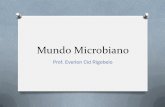 Mundo Microbiano - Unesp€¦ · Mundo Microbiano Prof. Everlon Cid Rigobelo . Capacidade de Visualizar os Microorganismos O Progressão da Microscopia e a Microbiologia O Princípios