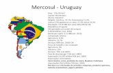 Mercosul - Uruguay · ALADI - Criada em 12 de agosto de 1980 pelo Tratado de Montevidéu, a ALADI objetivou criar um mercado comum latino-americano, a longo prazo e de maneira gradual,