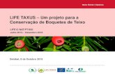 LIFE TAXUS Um projeto para a Conservação de Boquetes de Teixo · 2015-10-27 · LIFE TAXUS – Um projeto para a Conservação de Boquetes de Teixo ... • Açores: exportação