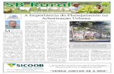 EDIÇÃO 66 - Quinta-feira, 30 de Junho de 2011 A ... · Exemplo de arborização urbana em Chapecó: Guapuruvu Por GuilhErME o. S. FErraz dE arruda1 risco de quebra de galhos é