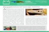zoonoses Fibropapilomatose em tartarugas marinhas - Centro de … · 2019-11-27 · Ao longo de dois anos e meio (de setembro de 2016 até ... Marine Turtle Newsletter, Wales, n.
