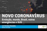 NOVO CORONAVÍRUS - Ministério da Saúde...Evolução da emergência por Coronavírus e resposta do Ministério da Saúde. Brasil, dez/2019 a fev/2020 3 1os Casos ... Fonte: Sivep-gripe,