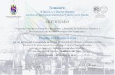 Rogerio de Oliveira Souza - Marinha do Brasil...Seminário 0 BRASIL E A GRANDE GUERRA: interfaces da participação brasileira na Primeira Guerra Mundial DIRETORIA DO PATRIMÔNIO HISTÓRICO