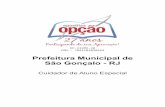 Prefeitura Municipal de São Gonçalo - RJ...Técnicas de trabalho para portadores de dificuldades na linguagem oral e na linguagem escrita. ..... 12 Estratégias de estimulação